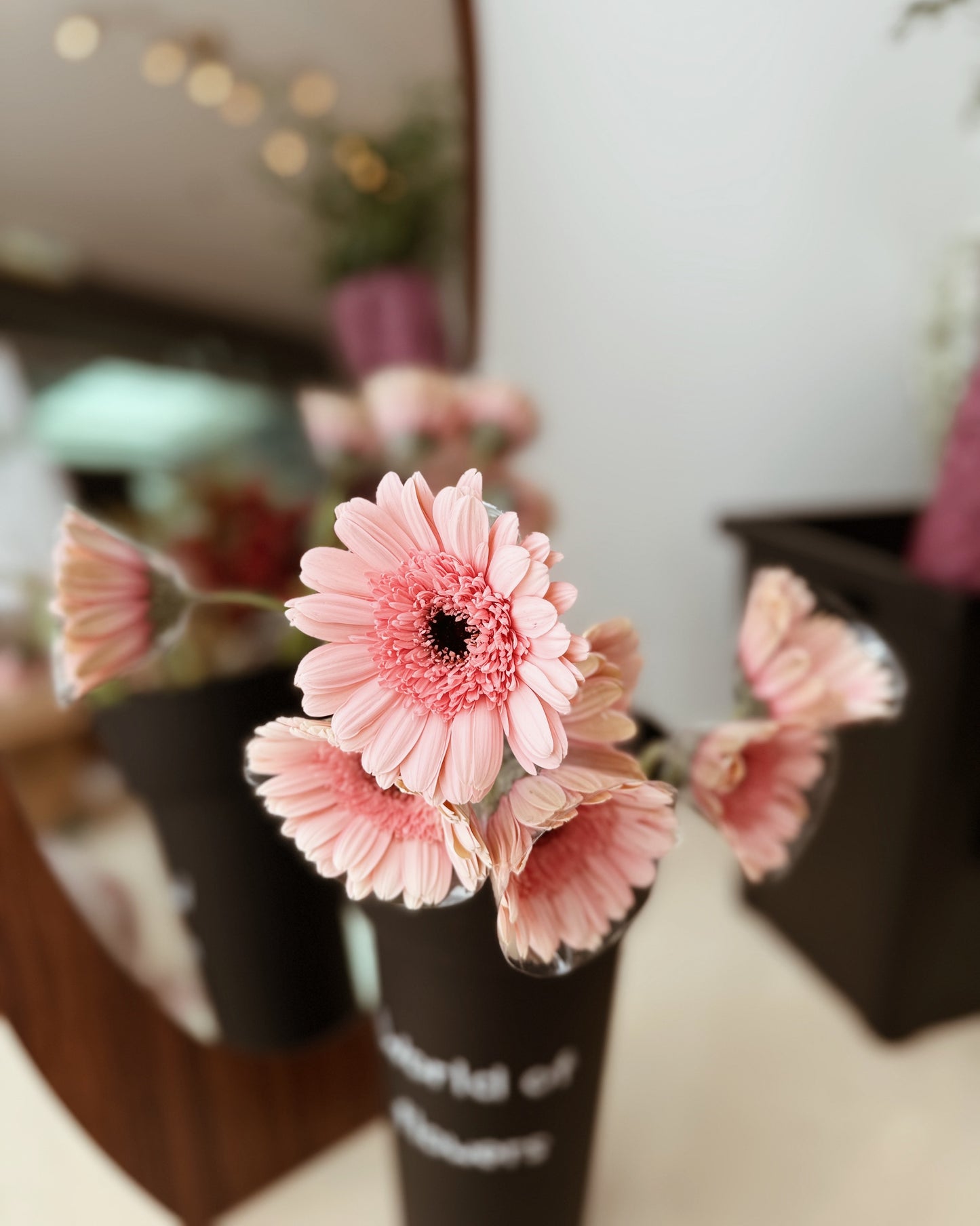 Gerbera | Pink