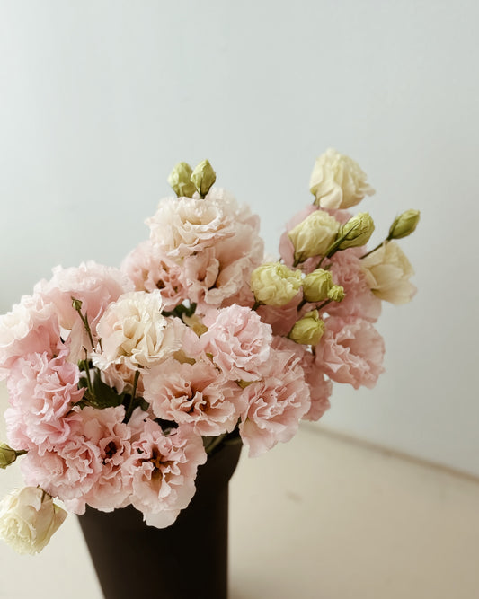 Eustoma | Light Pink