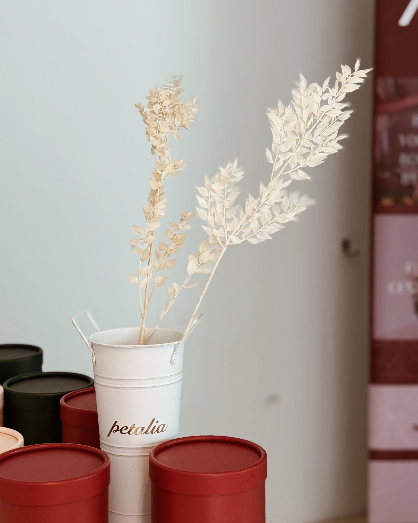 PRESERVED Ruscus | White