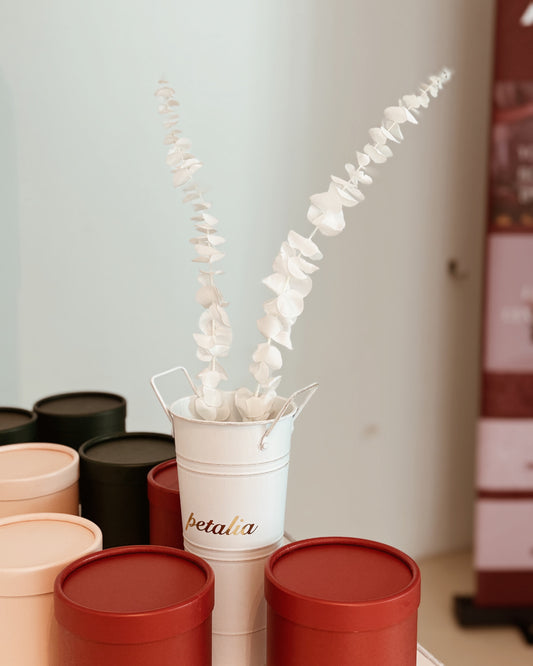 PRESERVED Silver Dollar Eucalyptus | White
