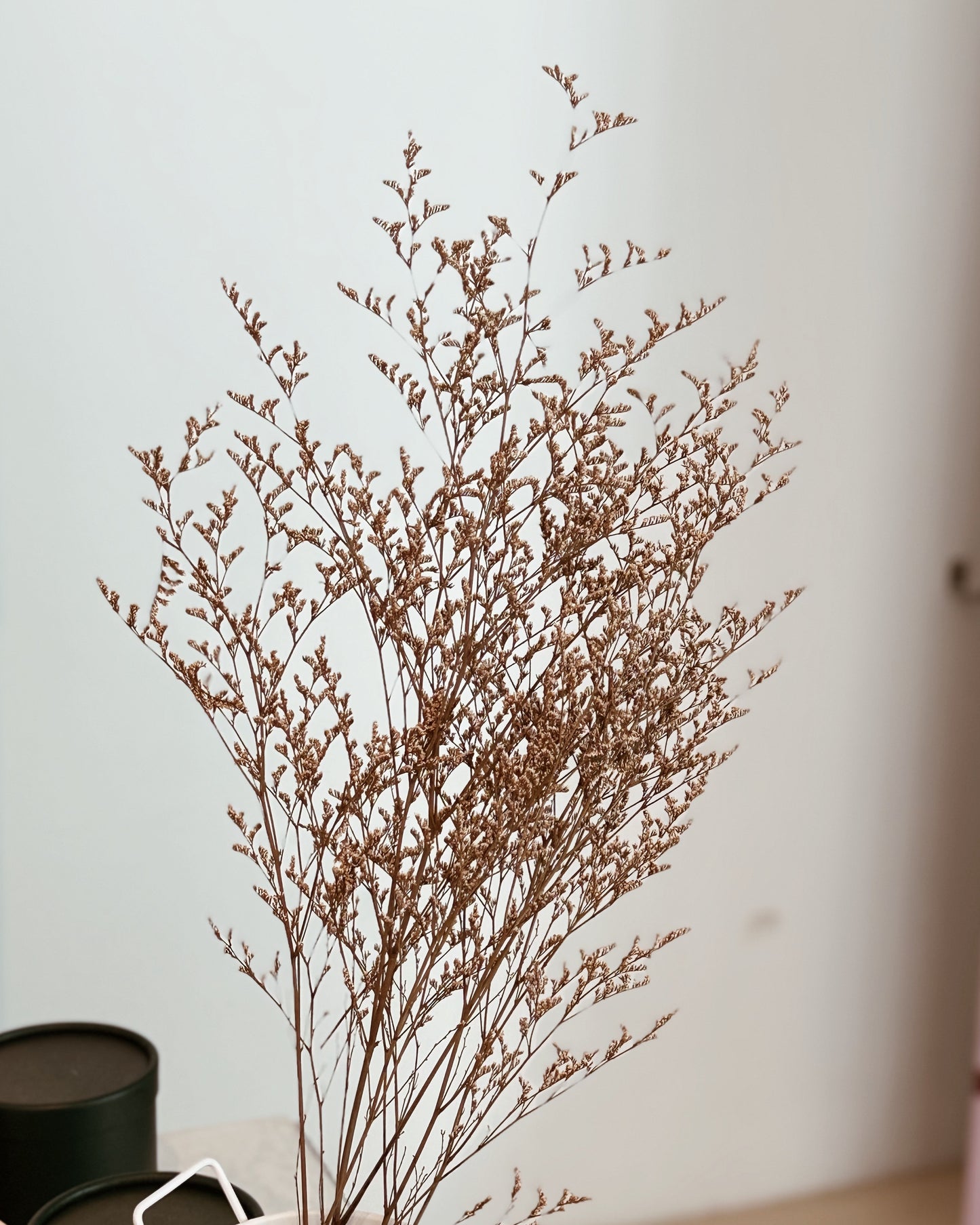 PRESERVED Caspia | Natural