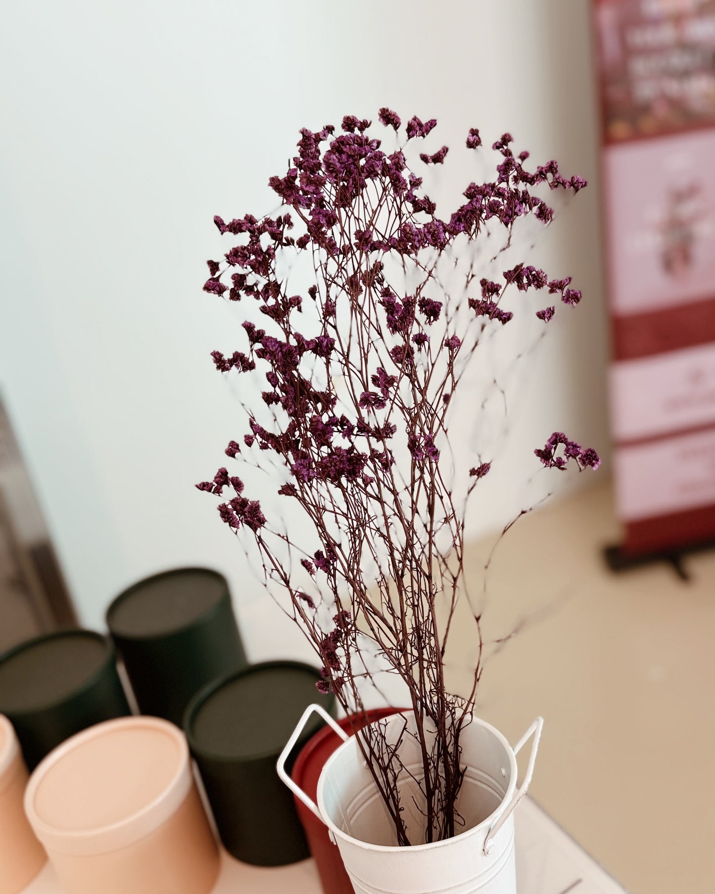 PRESERVED Caspia | Purple