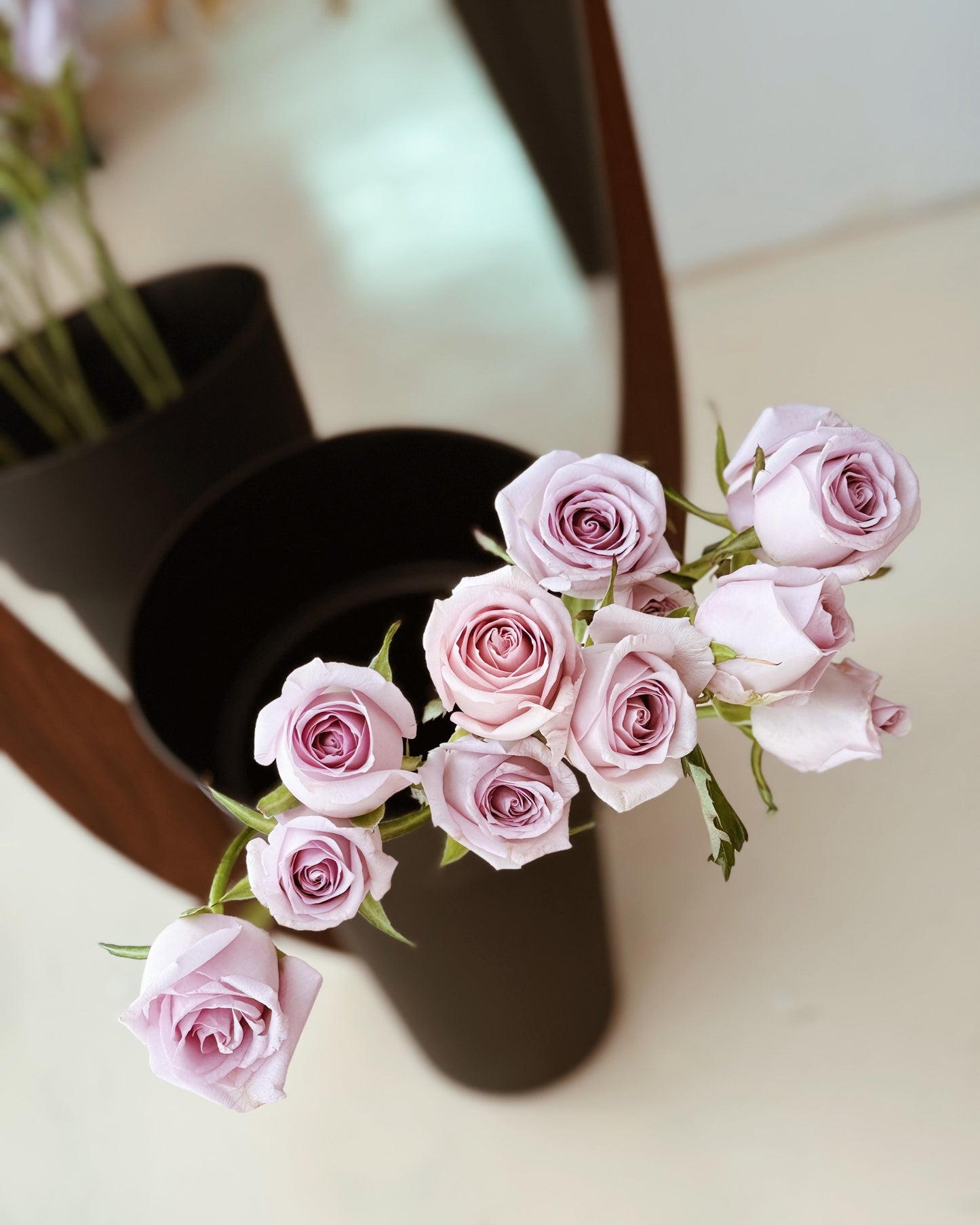 Rose | Soft Lilac