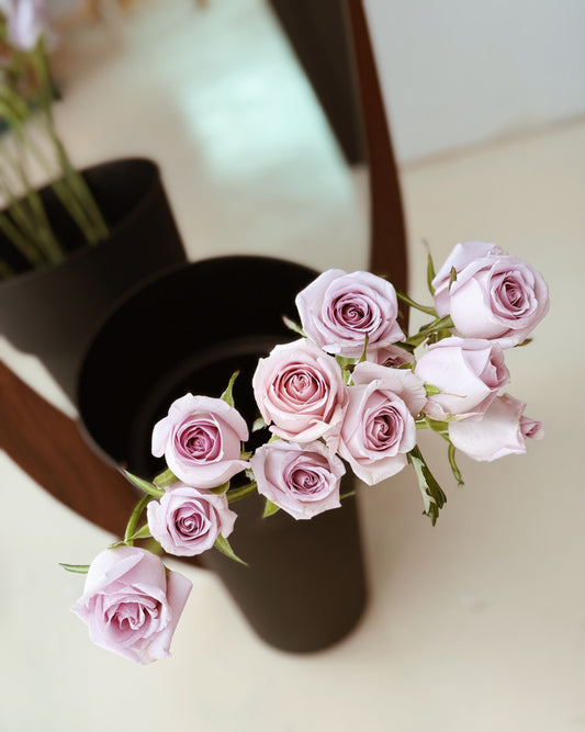 Rose | Soft Lilac
