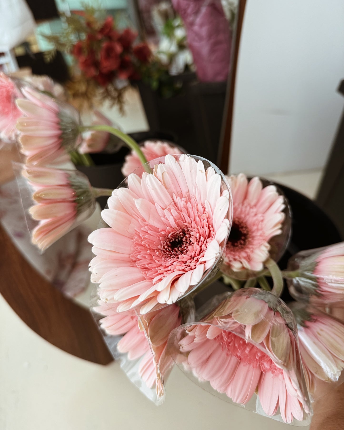 Gerbera | Pink