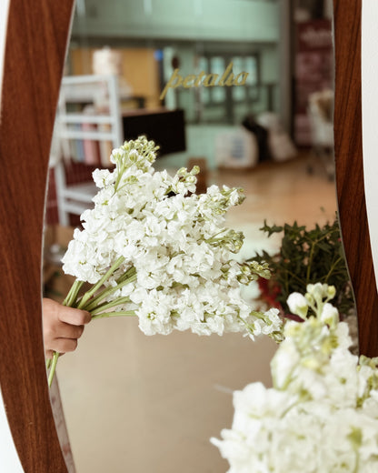 Matthiola | White