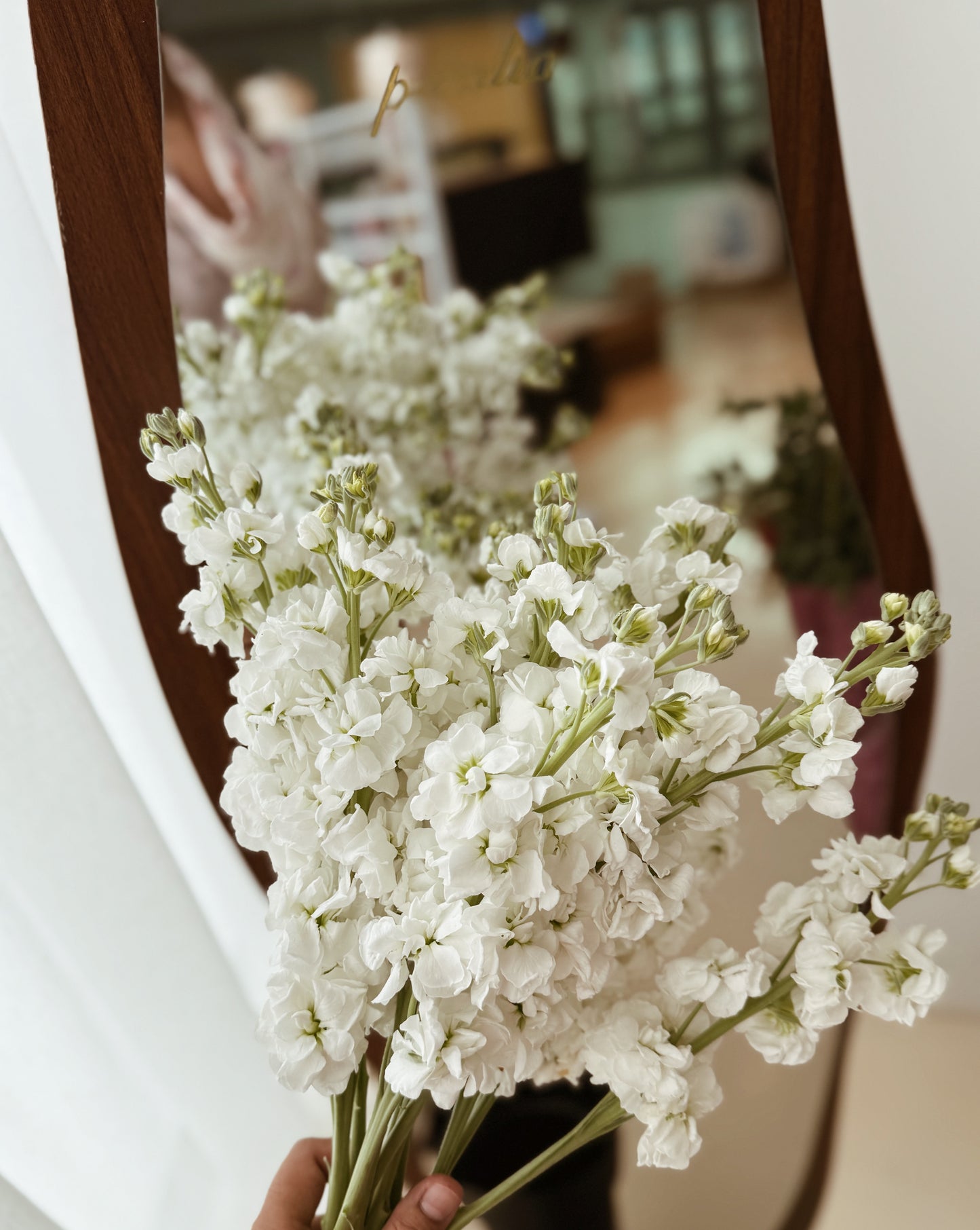 Matthiola | White