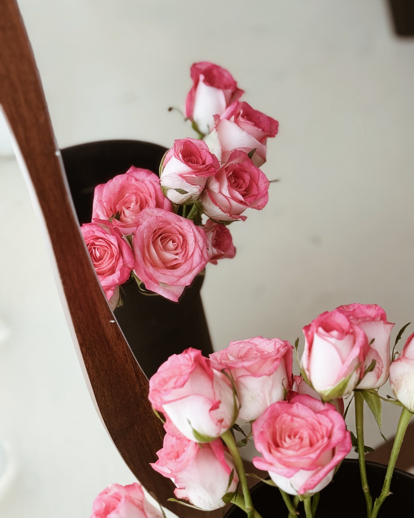 Rose | Barbie Pink