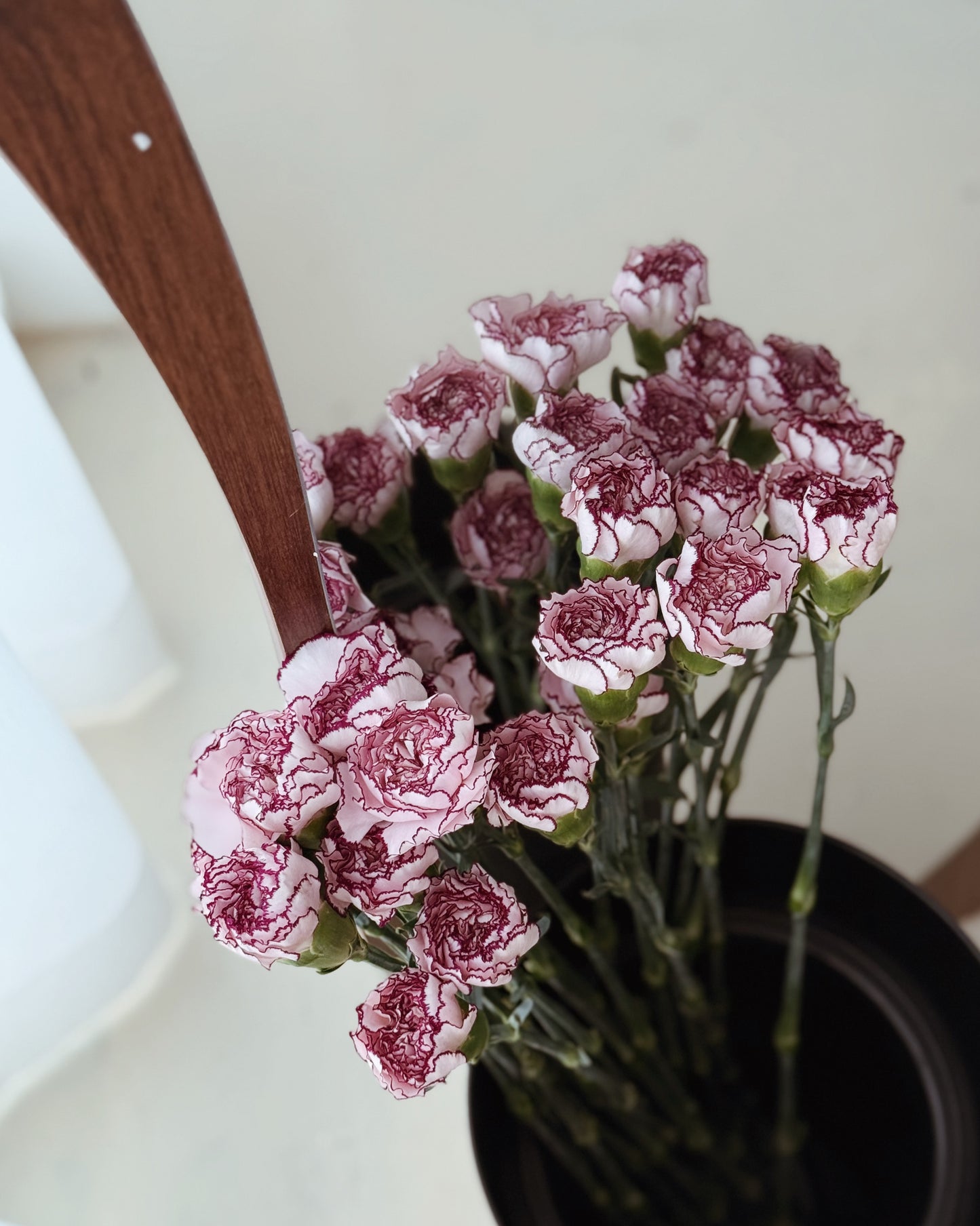 Carnation | Purple Line