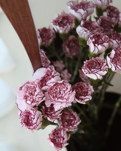 Carnation | Purple Line