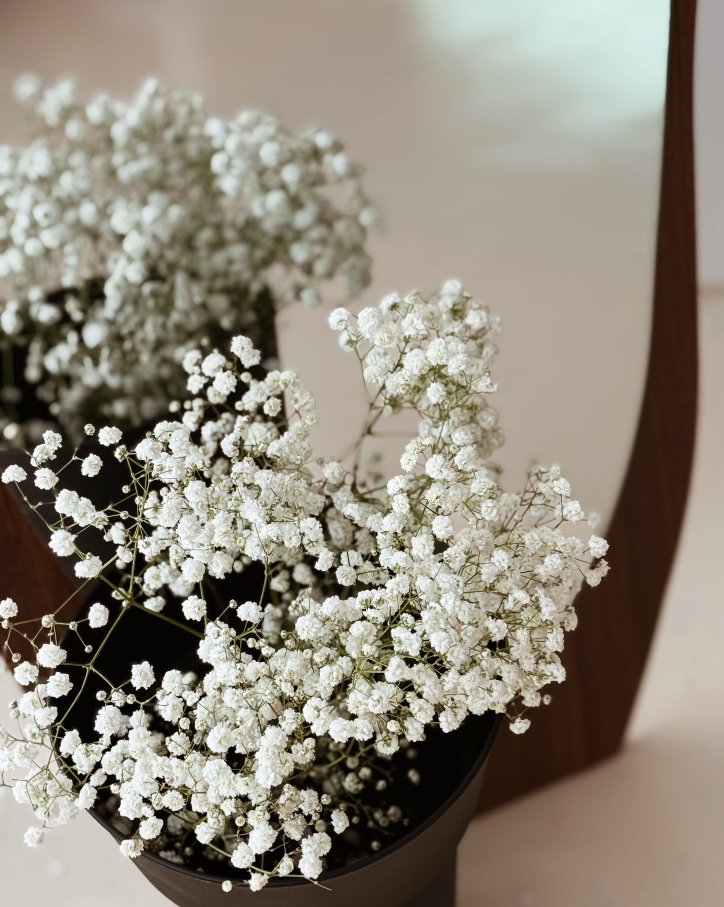 Baby's Breath | White