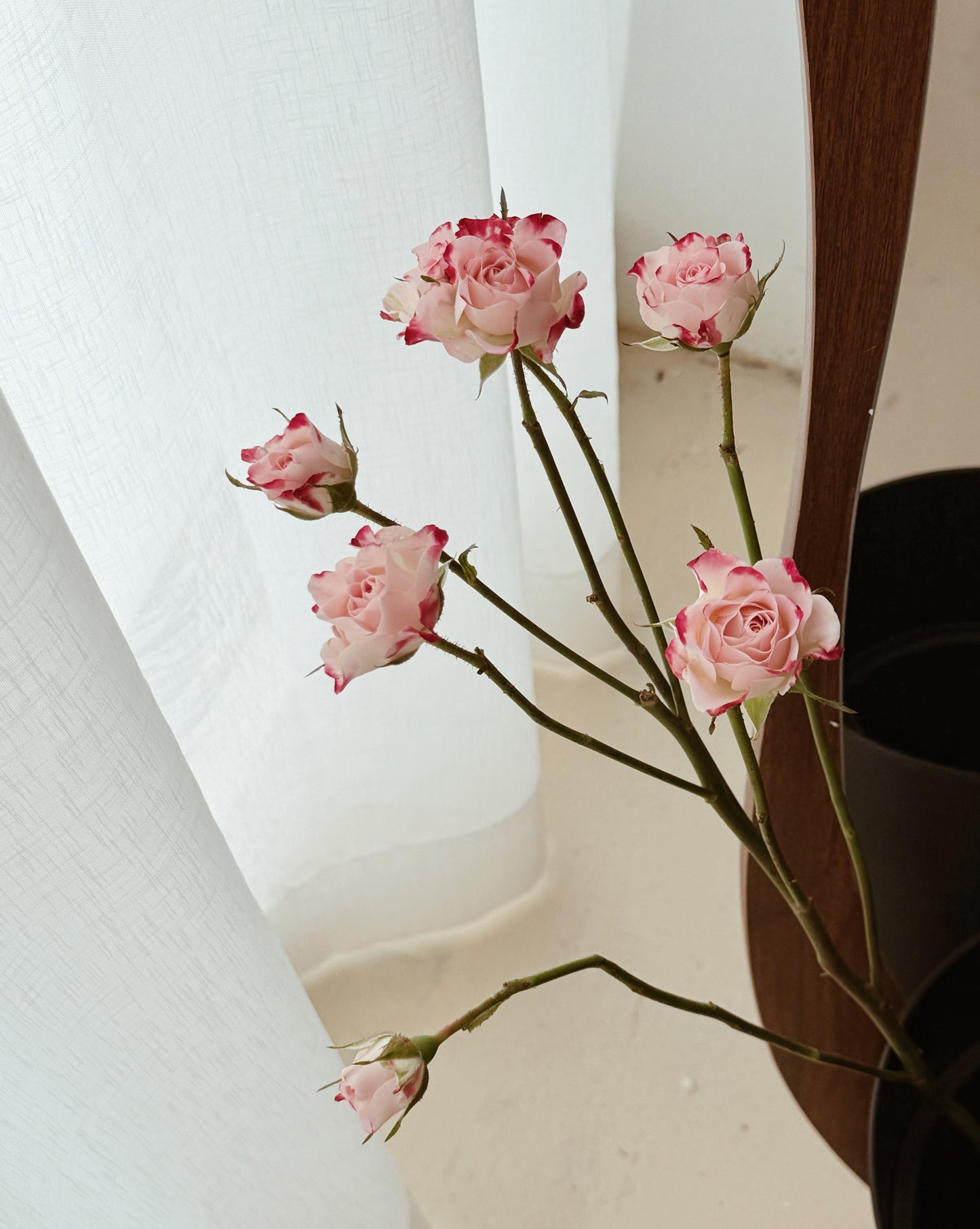 Rose Spray | Baby Pink