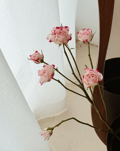 Rose Spray | Baby Pink
