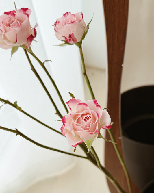 Rose Spray | Baby Pink