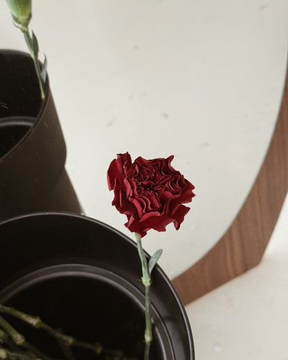 Carnation | Dark Red