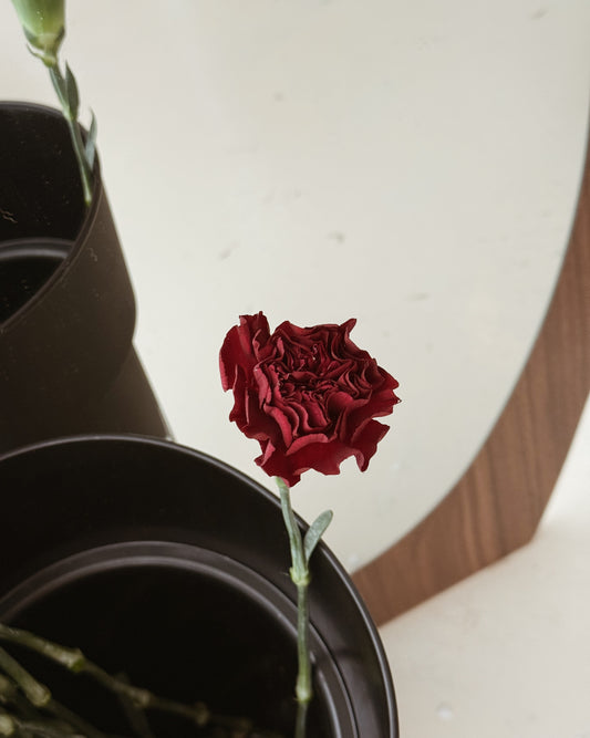 Carnation | Dark Red
