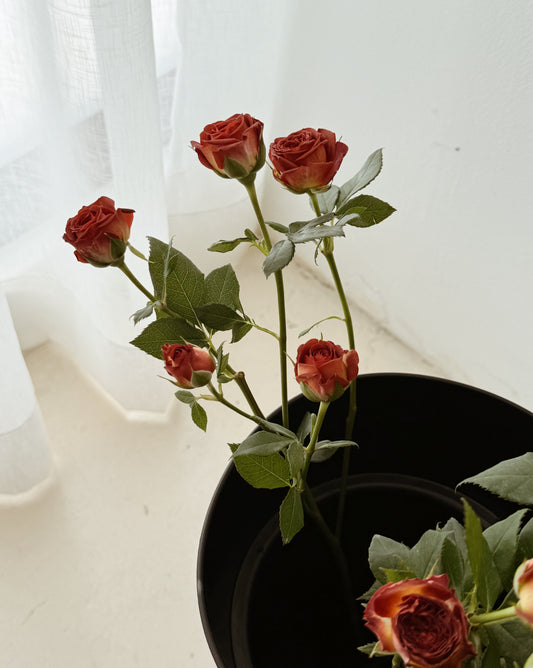 Rose Spray | Chocolate Brown